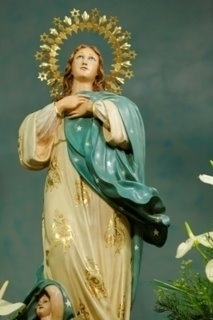 Balsapintada in Fuente Álamo