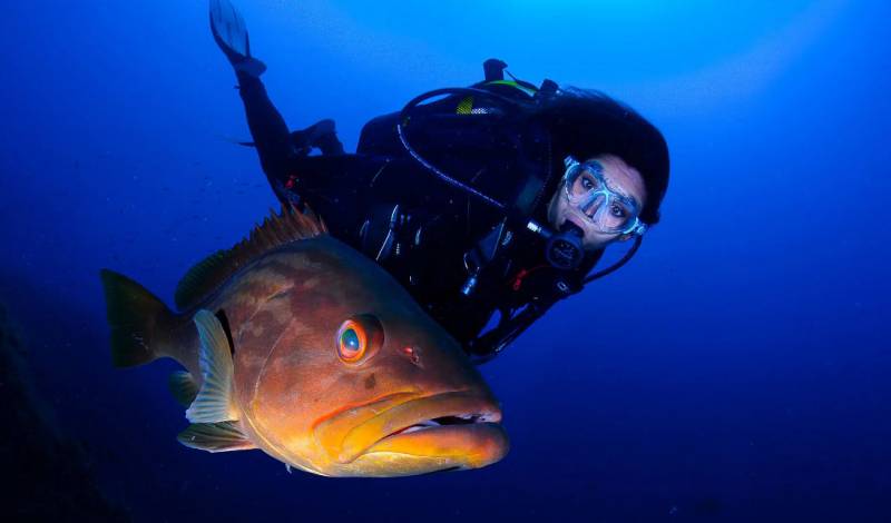 Murcia tourist authorities promote the first “Ruta Sub” to encourage dive tourism in the Costa Calida