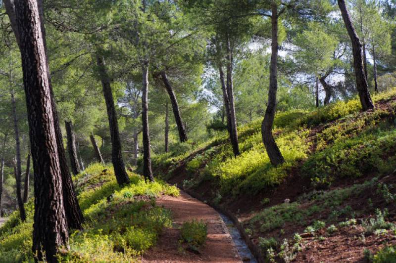 Sierra Espuña, a Mecca for nature enthusiasts, adventure sports and relaxation!