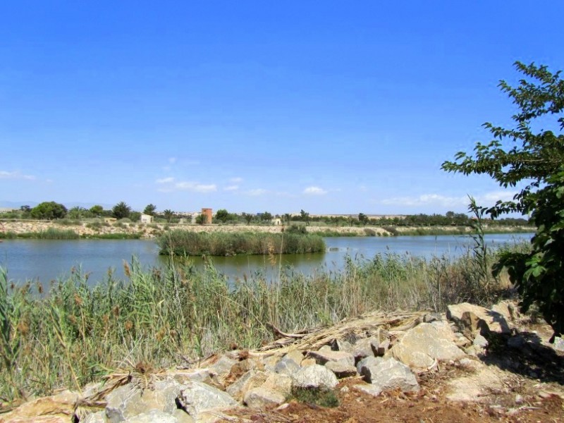 Marina de las Dunas Guardamar del Segura