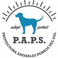 PAPS dog rescue and charity in Murcia, Spain