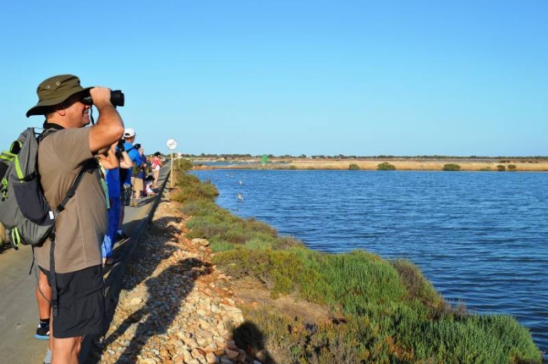 September 8 Free bird-spotting walk in the salt flats of San Pedro del Pinatar