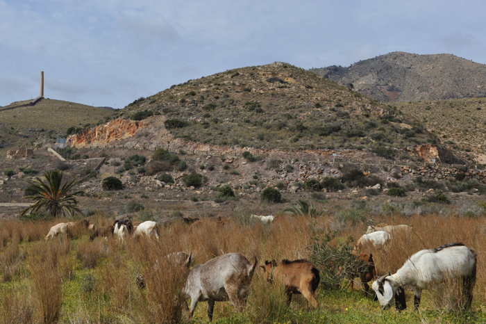 Introduction to Portmán