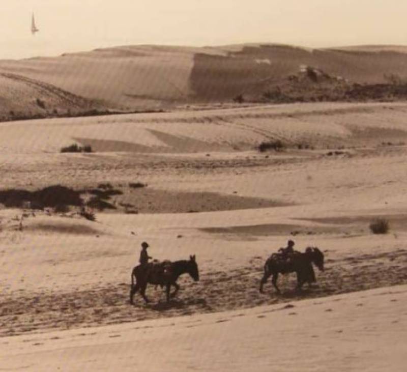 Discover the hidden gem of Spain's Guardamar Dunes Natural Park