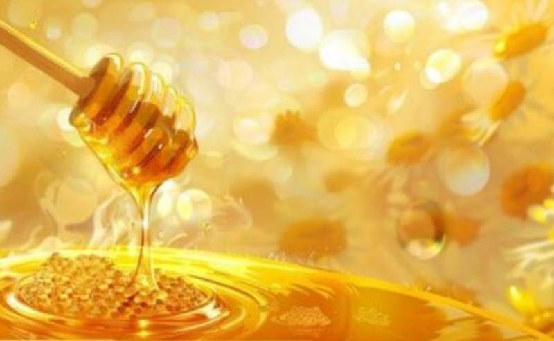 June 16 Trip to Guatazales from La Torre Golf Resort: Taste local honey, oil and wine and meet the happy bees