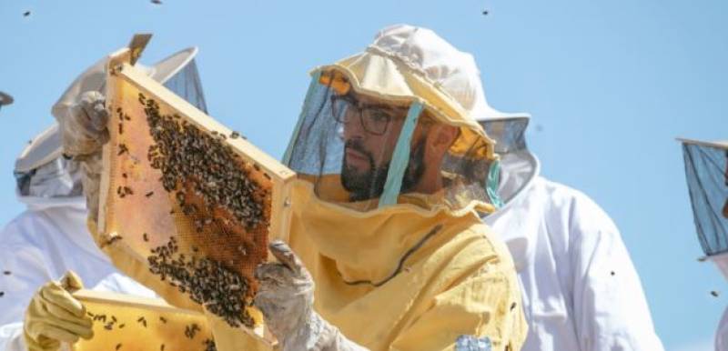 June 16 Trip to Guatazales from La Torre Golf Resort: Taste local honey, oil and wine and meet the happy bees