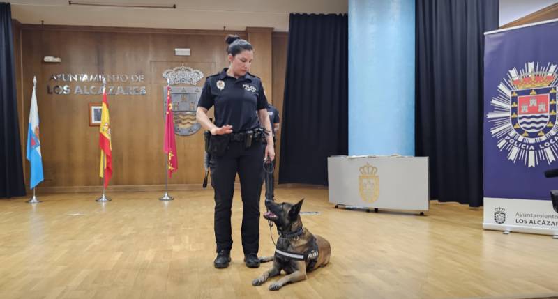 From stray to star: Ray the rescue dog joins Los Alcázares police force