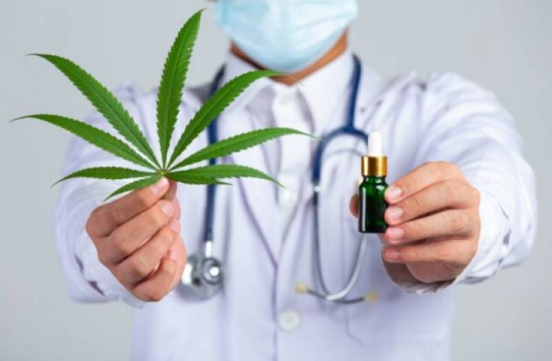 Spain approves medicinal cannabis after years of campaigning