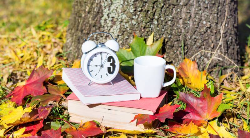 Spanish News Today Editors Roundup Weekly Bulletin Oct 24