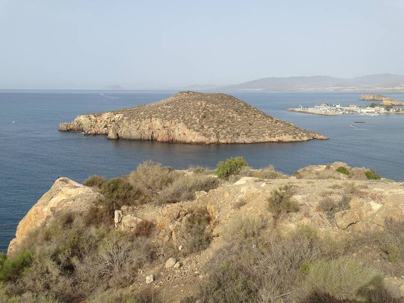 Spanish News Today Editors Roundup Weekly Bulletin March 13