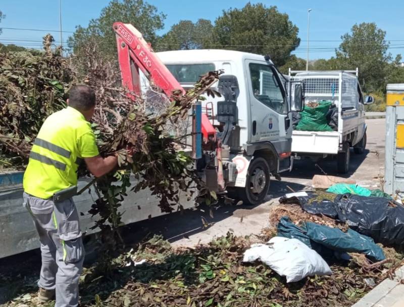 San Miguel cracks down on illegal dumping with €800 fine issued to offender