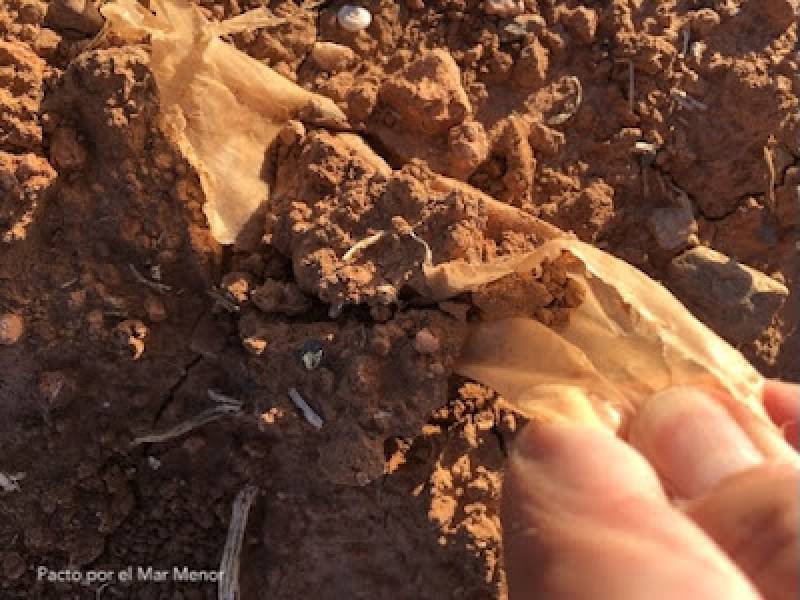 Environmental groups raise the alarm over growing plastic pollution on Mar Menor beaches