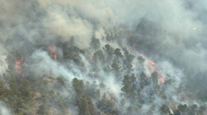Major wildfire near Murcia City forces evacuations as more than 110 hectares burn