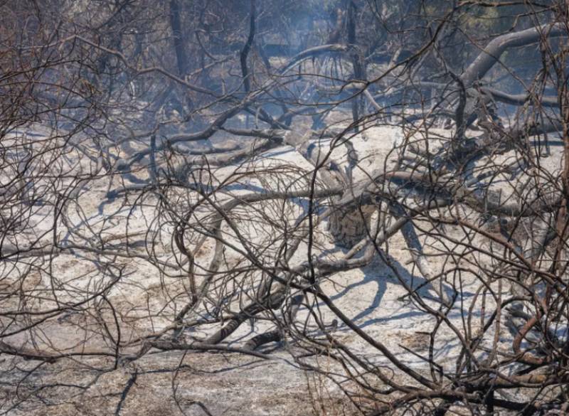 Spain's wildfires may be dying down but experts warn the real danger is only just beginning