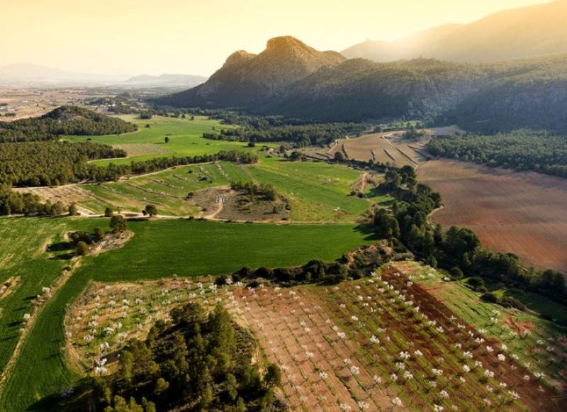 10 things to see and do in and around Mula