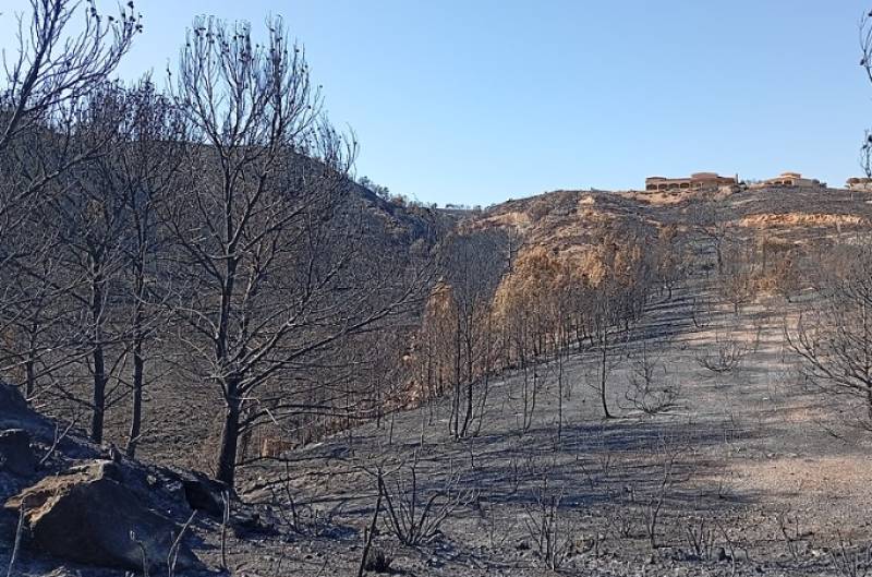 Two months on from the Los Gallardos wildfire, the death toll has risen to 15 after a British woman dies of her burns