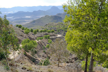 Sierra de las Herrerías, Leiva, Mazarrón