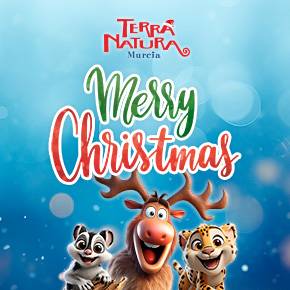 Terra Natura Christmas